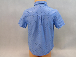 Niebieska koszula w kropki z krótkim rękawem 110cm